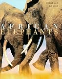 African Elephants