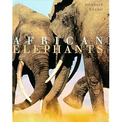 African Elephants