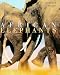 African Elephants by Reinhard Kunkel