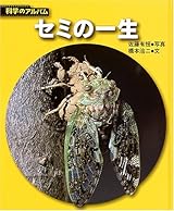 セミの一生 (科学のアルバム)