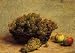 Art, Oil painting reproduction size 24x36 Inch, painting name: Raisin et Pommes dApi, By Fantin-Latour Henri