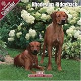 Rhodesian Ridgeback 2009 Wall Calendar 12 X 12