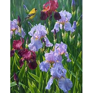 Spring Glory. Fine Art. Signed and Numbered Limited Edition Giclee Print by Beth Hoselton....