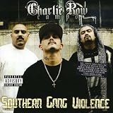 Southern Gang Violence