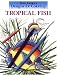 Designs for Coloring: Tropical Fish (Designs for Coloring)