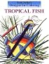 Designs for Coloring: Tropical Fish (Designs for Coloring)
