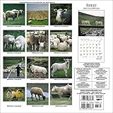 Sheep 2005 Calendar-