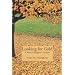 Looking for Gold