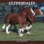 Clydesdales 2007 Calendar