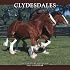 The Clydesdale Horse (Edge Books: Horses)