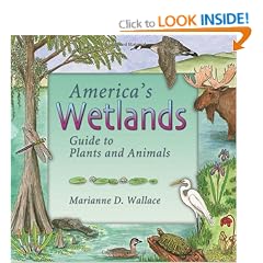 America's Wetlands