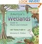 America's Wetlands: Guide to Plants and Animals (America's Ecosystems)