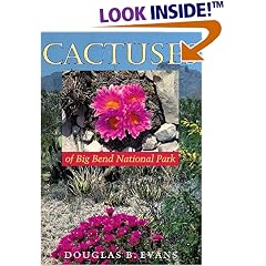 Cactuses of Big Bend National Park (Corrie Herring Hooks Series)