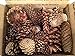 2 Pound Box Assorted Natural Pine Cones