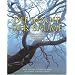 Die Magie der B�ume: Legenden und Mythen der Kelten