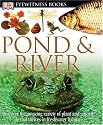 Pond & River (DK Eyewitness Books)