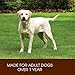Holistic Select Natural Wet Grain Free Canned Dog Food, Duck Pâté Recipe, 13-Ounce Can (Pack Of 12)