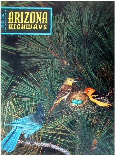 Birding