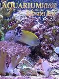 Aquarium for your Home - Saltwater Reef an Aquarium for your Television