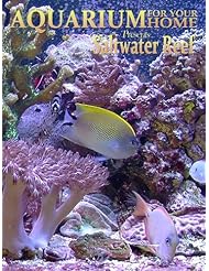 Movie: Aquarium for your Home - Saltwater Reef an Aquarium for your Television
