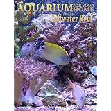 Aquarium for your Home - Saltwater Reef an Aquarium for your Television ~ George Ford
