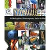 50 Distinguished Contemporary Artists in Glass (Intelligent Layman Series)