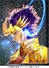 聖闘士星矢EPISODE.G (4) 【初回限定特装版】 (チャンピオンREDコミックス)