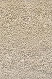 Bamboo Shag Area Rug I 4x6 Ivory Bamboo Shag Area Rug I 4x6 Ivory