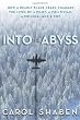 Into the Abyss: How a Deadly Plane Crash Changed the Lives of a Pilot, a Politician, a Criminal and a Cop