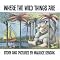Amazing Children's Picture Books