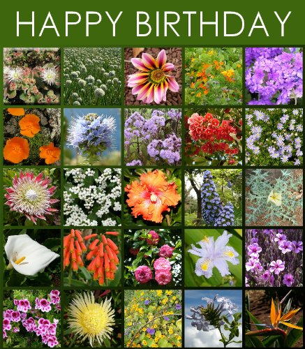 Birthday Card Flowers (Kindle Cards) Birthday Card Flowers (Kindle Cards)
