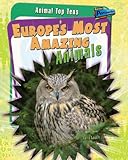 Europe's most amazing animals