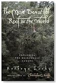 The Most Beautiful Roof in the World: Exploring the Rainforest Canopy