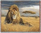King of the Pride Throw - 53 x 70 Blanket/Throw