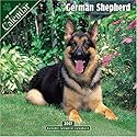 German Shepherd 2007 Wall Calendar