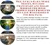 Book The Guru's Earn More Money, Success Principles and Sales Models for High Protein Diet Products On-line Businesses 3 Course Pack