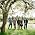 Miniaturansicht von The Decemberists
