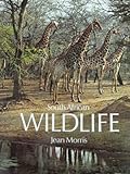South African wildlife