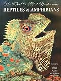 The World's Most Spectacular Reptiles & Amphibians