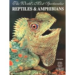 The World's Most Spectacular Reptiles & Amphibians