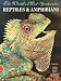 The World's Most Spectacular Reptiles & Amphibians