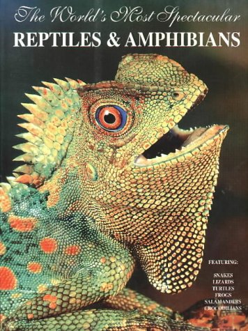 The World's Most Spectacular Reptiles and Amphibians