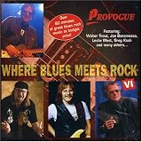 Where Blues Meets Rock Vol.6