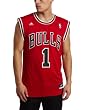 NBA Chicago Bulls Derrick Rose Men's Red NBA Replica Jersey