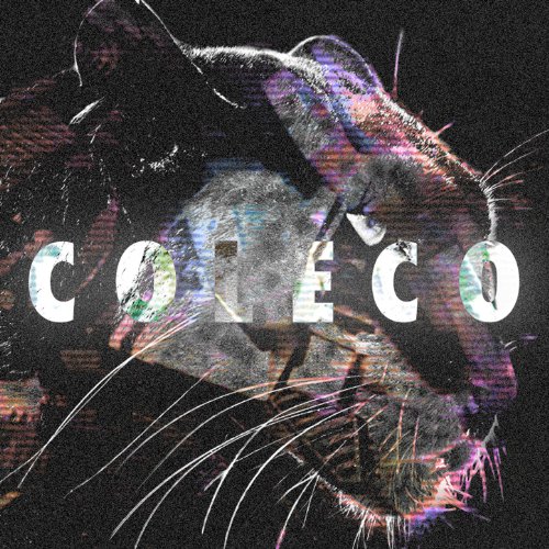 Visions of Coleco [Explicit] Picture