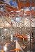 Books : Jason Rhoades: Perfect World