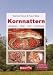 Kornnattern: Lebensweise, Pflege, Zucht, Erkrankungen