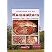 Kornnattern: Lebensweise, Pflege, Zucht, Erkrankungen