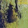 Earthed
