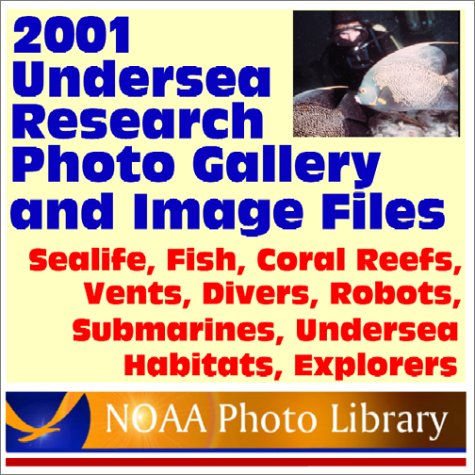 Image Galleries